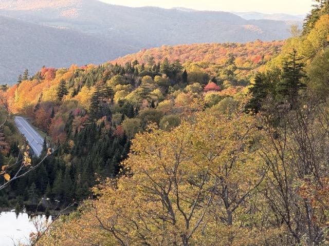 Dag 2 Så fik vi leaf peeping for fuld skrald